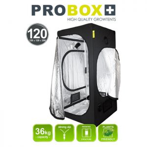 ProBox Master 120, 120X120X200cm